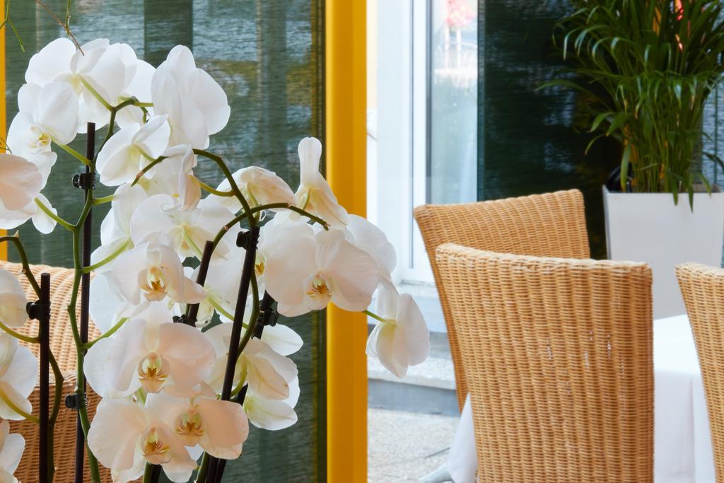 Hotel & Restaurant Seehof Podersdorf am See Ngoại thất bức ảnh