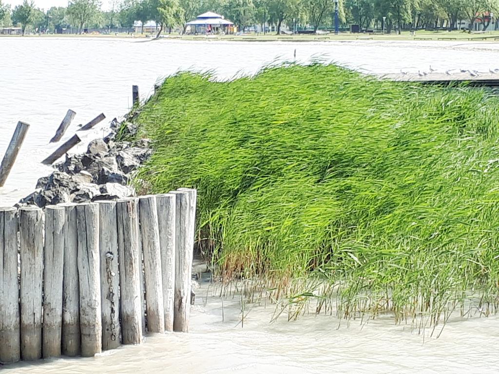 Hotel & Restaurant Seehof Podersdorf am See Ngoại thất bức ảnh